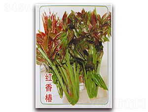 �t�㴻-�㴻�N��-�ꂥ�N�I(y��)