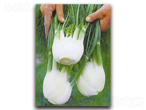 �Y(ji��)������-�ꂥ�N�I(y��)