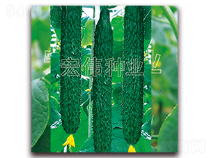 ���r��̖-�S�ϷN��-�ꂥ�N�I(y��)