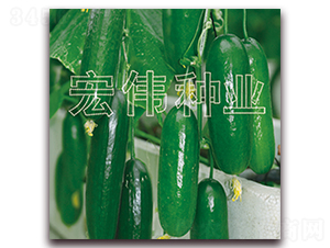 ���m��̖-�S�ϷN��-�ꂥ�N�I(y��)