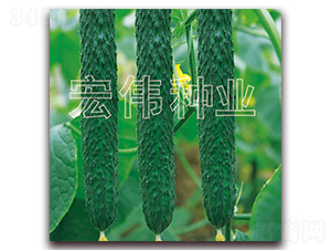 ���m36-�S�ϷN��-�ꂥ�N�I(y��)