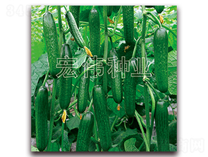 83-16-�S�ϷN��-�ꂥ�N�I(y��)