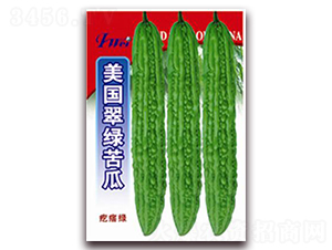 ������G���-��ϷN��-�ꂥ�N�I(y��)