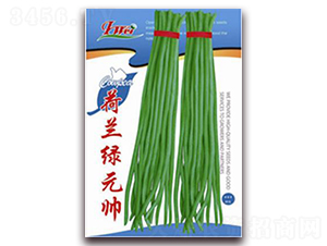 ���m�GԪ��-���ǷN��-�ꂥ�N�I(y��)