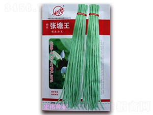 ��?zh��)��?�����N��-�ꂥ�N�I(y��)