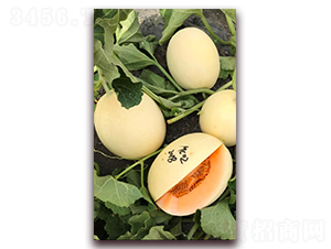 �t���۹�-��ϷN��-�ꂥ�N�I(y��)