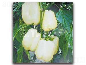 �׹���-�����N��-�ꂥ�N�I(y��)