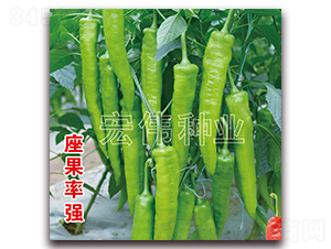 ţ���⽷-�����N��-�ꂥ�N�I(y��)