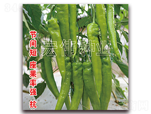 ţ��⽷-�����N��-�ꂥ�N�I(y��)