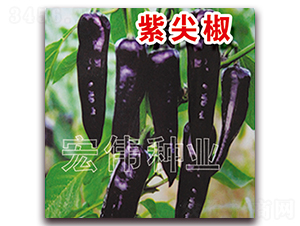 �ϼ⽷-�����N��-�ꂥ�N�I(y��)