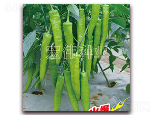 ����һ̖-�����N��-�ꂥ�N�I(y��)