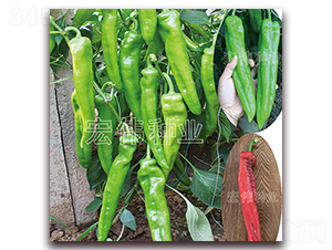 ����1617-�����N��-�ꂥ�N�I(y��)