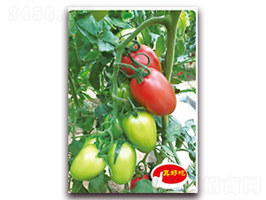 ���_��001F1-�������t���N��-�ꂥ�N�I(y��)