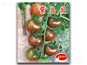 ��ؐؐ-�������t���N��-�ꂥ�N�I(y��)