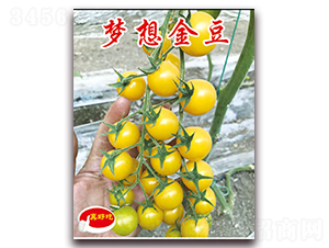 ��(m��ng)���-�������t���N��-�ꂥ�N�I(y��)