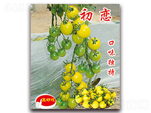 ����-�������t���N��-�ꂥ�N�I(y��)