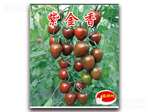 �Ͻ���-�������t���N��-�ꂥ�N�I(y��)