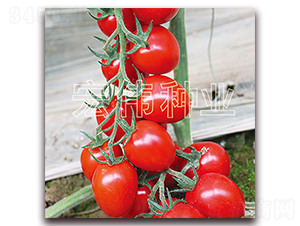 �t��189-�������t���N��-�ꂥ�N�I(y��)