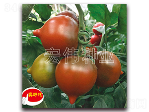 ���Ҷ�̖(h��o)-�������t���N��-�ꂥ�N�I(y��)