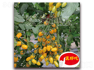 ���-�������t���N��-�ꂥ�N�I(y��)