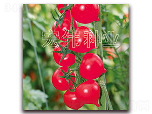 ����һ̖(h��o)-�������t���N��-�ꂥ�N�I(y��)