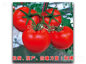 ȫ��219-�t�����t���N��-�ꂥ�N�I(y��)