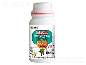 ��ø����-������