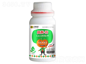 ��ø���}-������