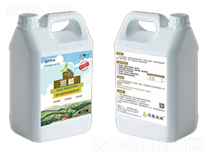 ������Ч��-��ֲ-�к����