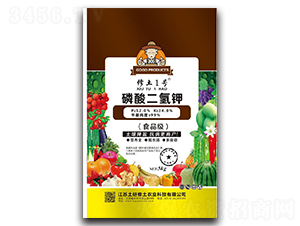 ��������-����1̖-��������