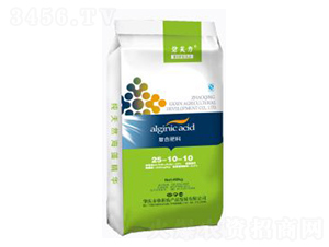 ��(f��)�Ϸ���25-10-10-��������