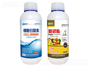 ��(x��)��������+������-�����Ƽ� 