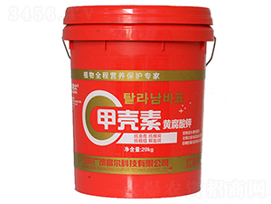 �ך����S�����-�����Ƽ�