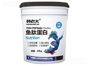 �~�ĵ���-�n��̫-�����Ƽ�