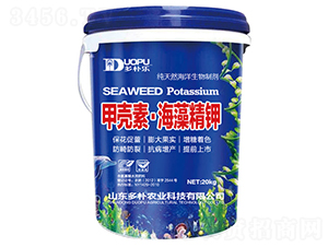 �ך��ء����徫�-�����Ƽ�