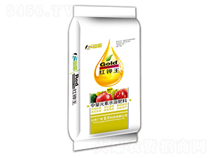 �t���-����-�����Ƽ�