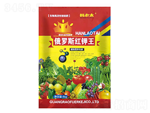 ���_˹�t���-�n��̫-�����Ƽ�