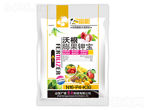 �ָ����⛌�-����-�����Ƽ�