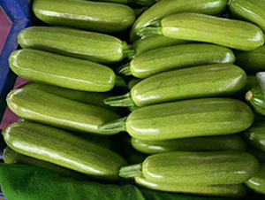 �R�W-�����J�N��-���R�߿�