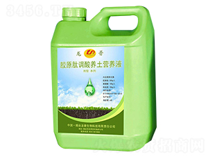 �zԭ���{(di��o)������I�B(y��ng)Һ-��������