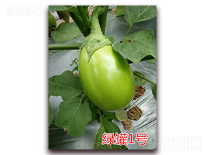 �G��һ̖-���ӷN��-�|�Z�r(n��ng)�I(y��)