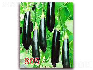 805-�G���L�ѷN��-�|�Z�r(n��ng)�I(y��)