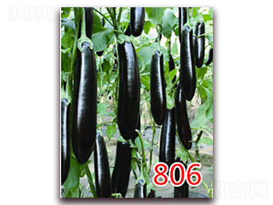 806-�G���L�ѷN��-�|�Z�r(n��ng)�I(y��)