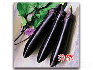 �sҫ-�L�ѷN��-�|�Z�r(n��ng)�I(y��)