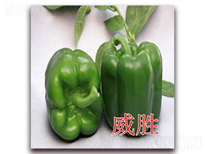 ����-�𽷷N��-�|�Z�r(n��ng)�I(y��)