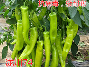 �{��74���O�ͺ���ǽ��N��-�|�Z�r(n��ng)�I(y��)