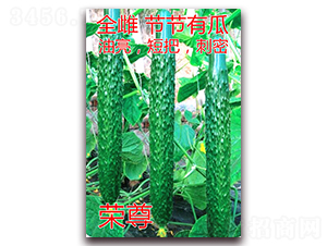 �s��-�S�ϷN��-�|�Z�r(n��ng)�I(y��)