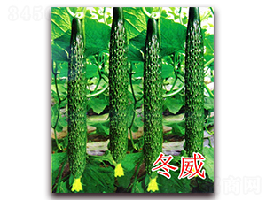 ����-�S�ϷN��-�|�Z�r(n��ng)�I(y��)