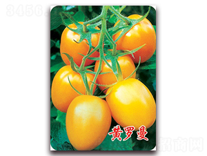 �S�_��-���ҷ��ѷN��-�|�Z�r(n��ng)�I(y��)