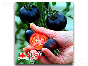 �ڑ�(zh��n)��-���ҷ��ѷN��-�|�Z�r(n��ng)�I(y��)